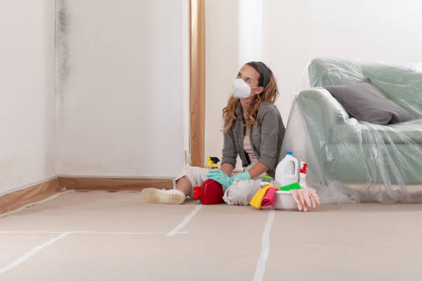 Reliable Mold Testing contractor in Richwood, NJ by WQB Mold Removal