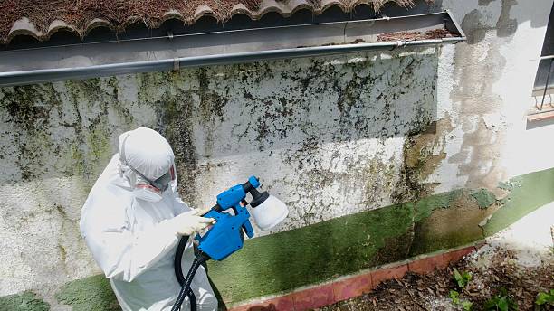 Top rated local Mold Testing specialists in Richwood, NJ